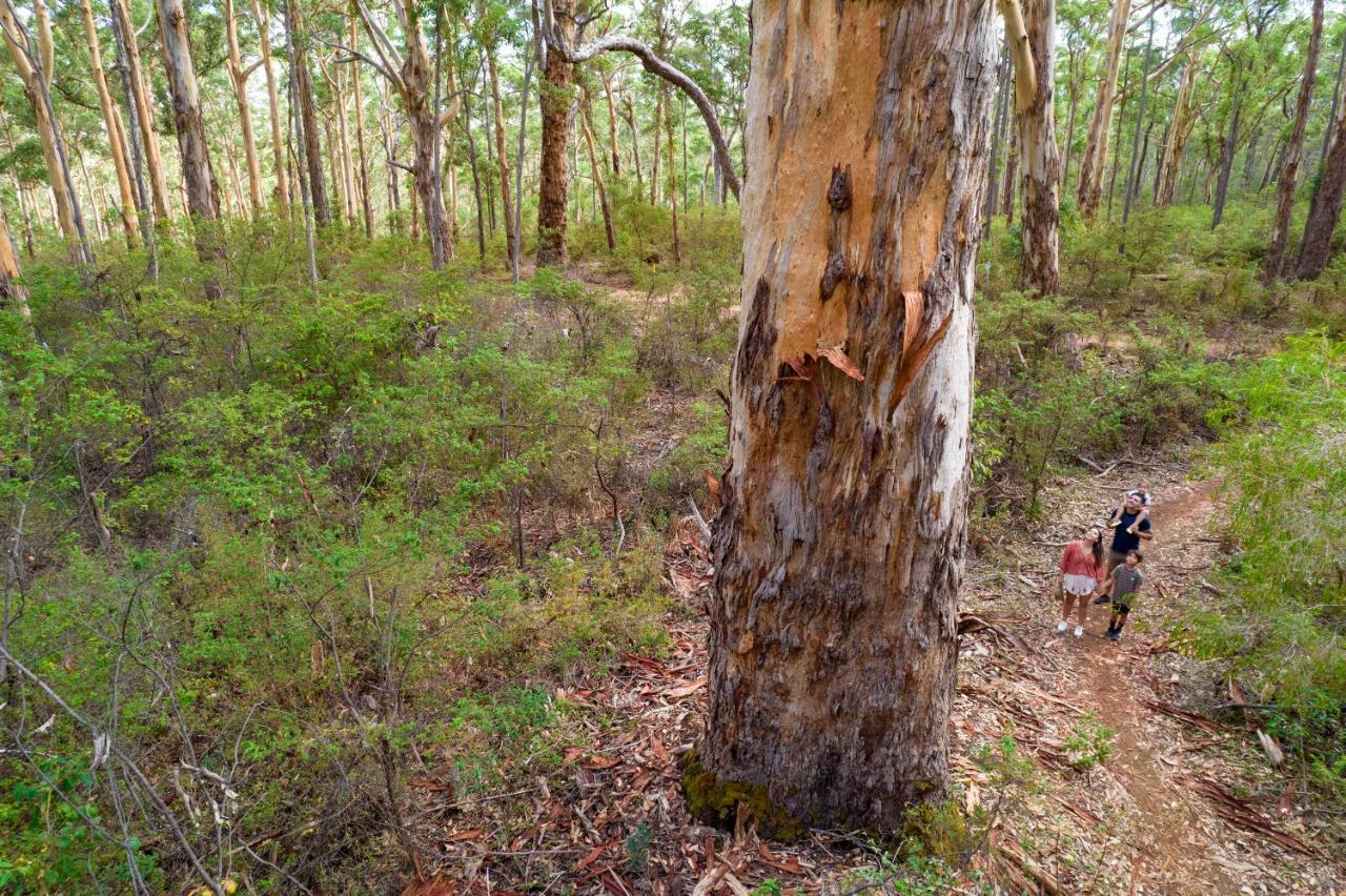 Rac Margaret River Nature Park Buitenkant foto